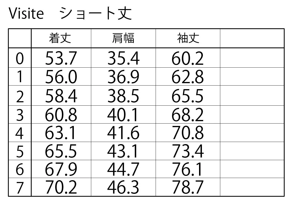 ヴィジット ショート(データ販売) - Image 4